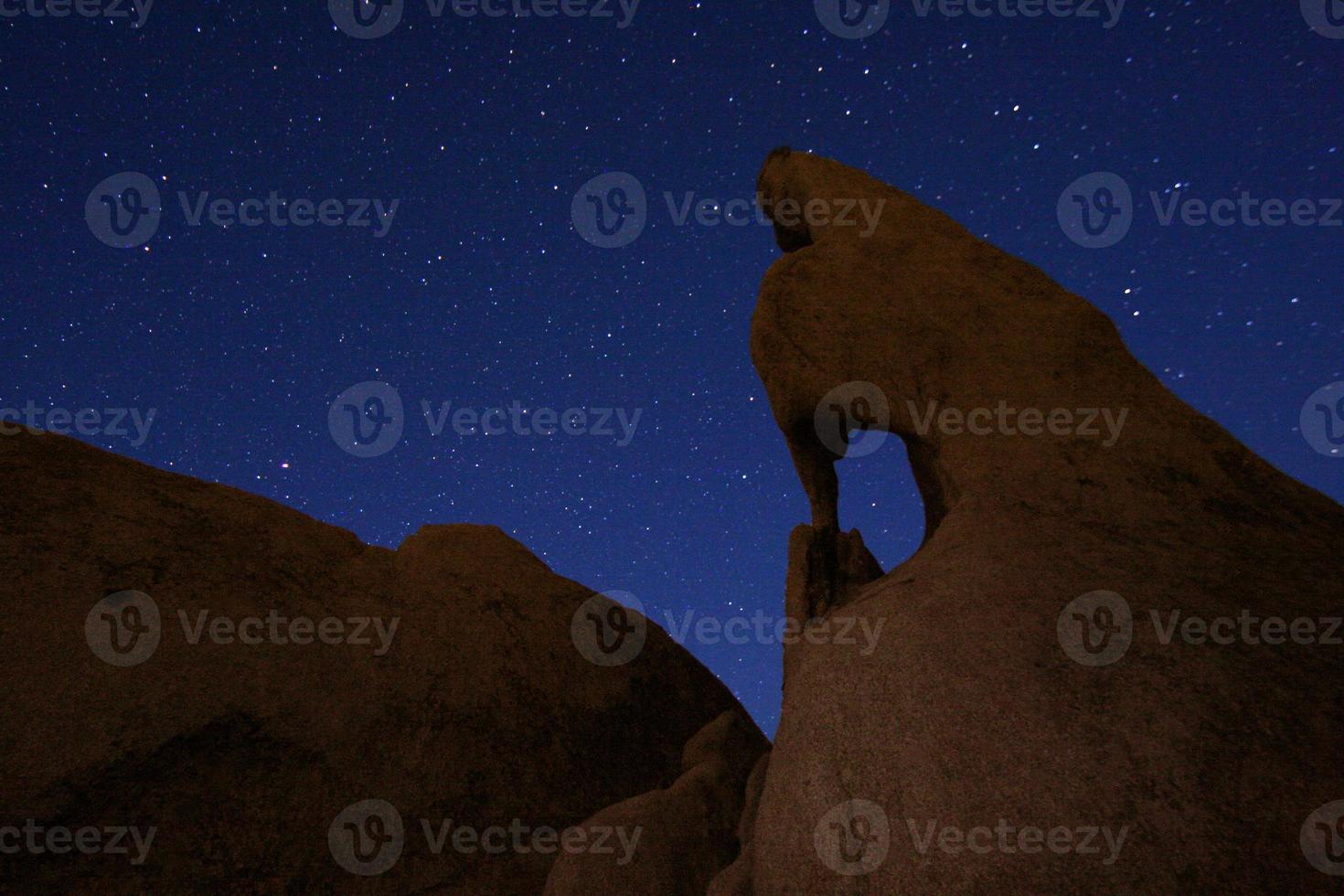 ster lange blootstelling over joshua tree nationaal park foto