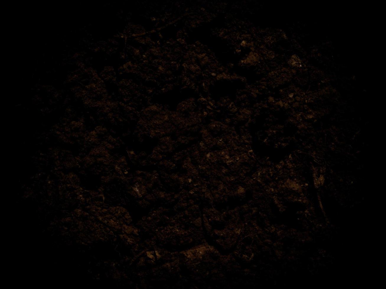 donkere aardetextuur in de tuin foto