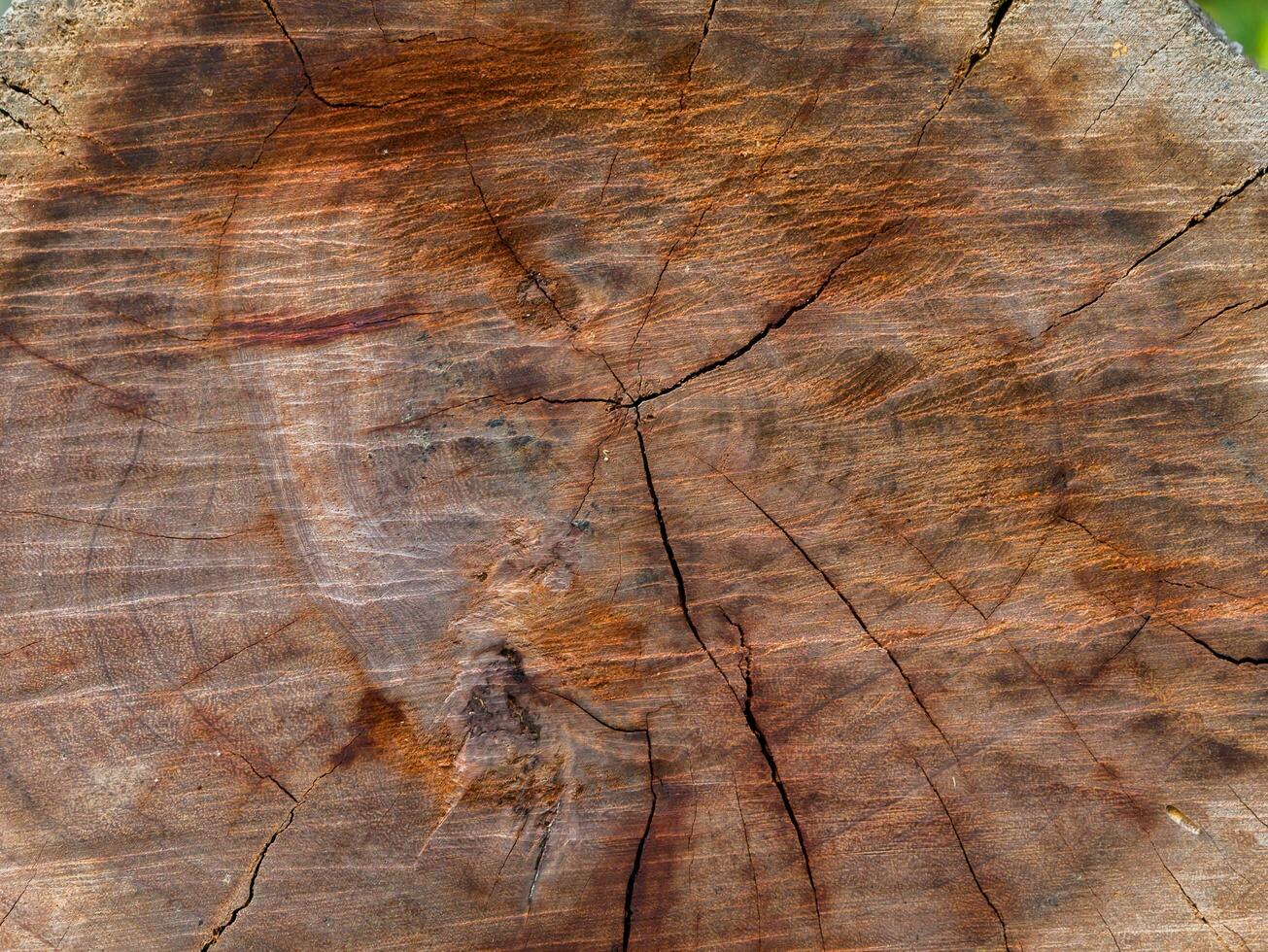 detailopname natuur oppervlakte structuur stijl van houten foto