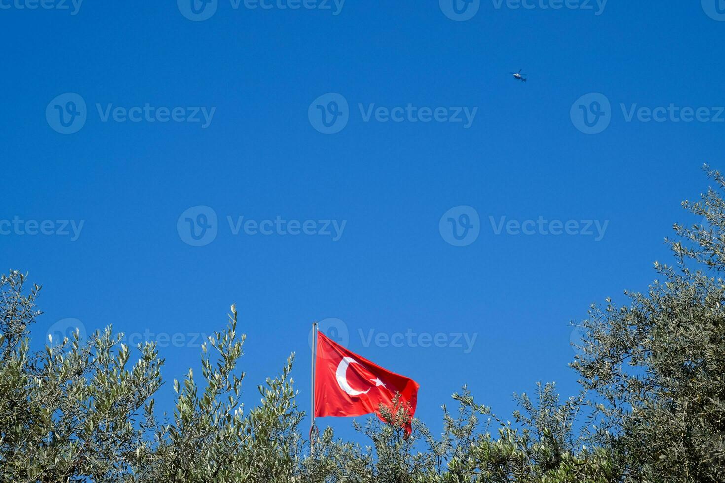 Turks vlag tegen de blauw lucht en tops van de bomen. foto