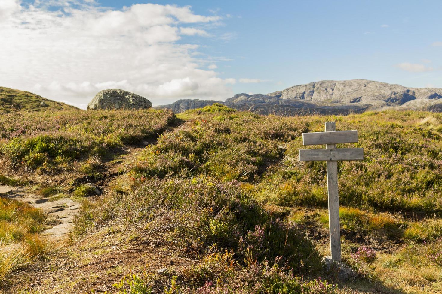 teken op wandelpad naar kjerag kjeragbolten in rogaland, noorwegen foto