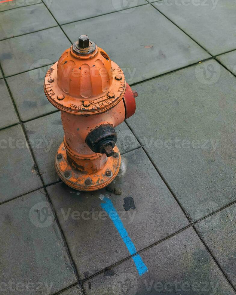 brand hydrant staat hoog Aan een stad straat in Portland, Verenigde Staten van Amerika, symboliseert veiligheid, noodgeval paraatheid foto