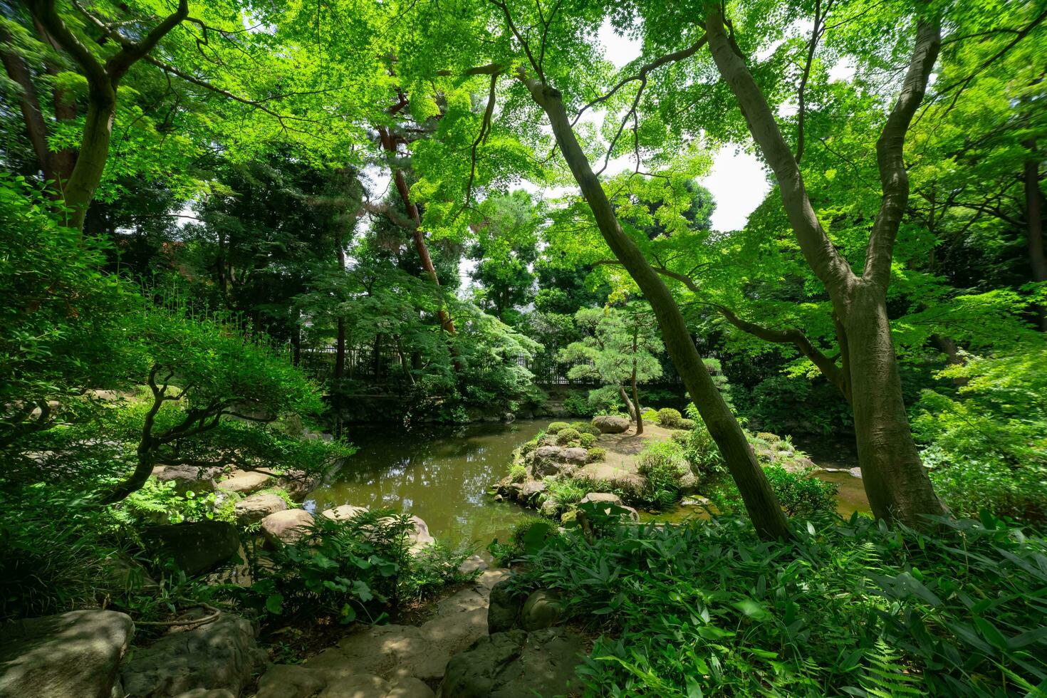 een Japans tuin vijver Bij tonogayato tuin in zomer zonnig dag foto