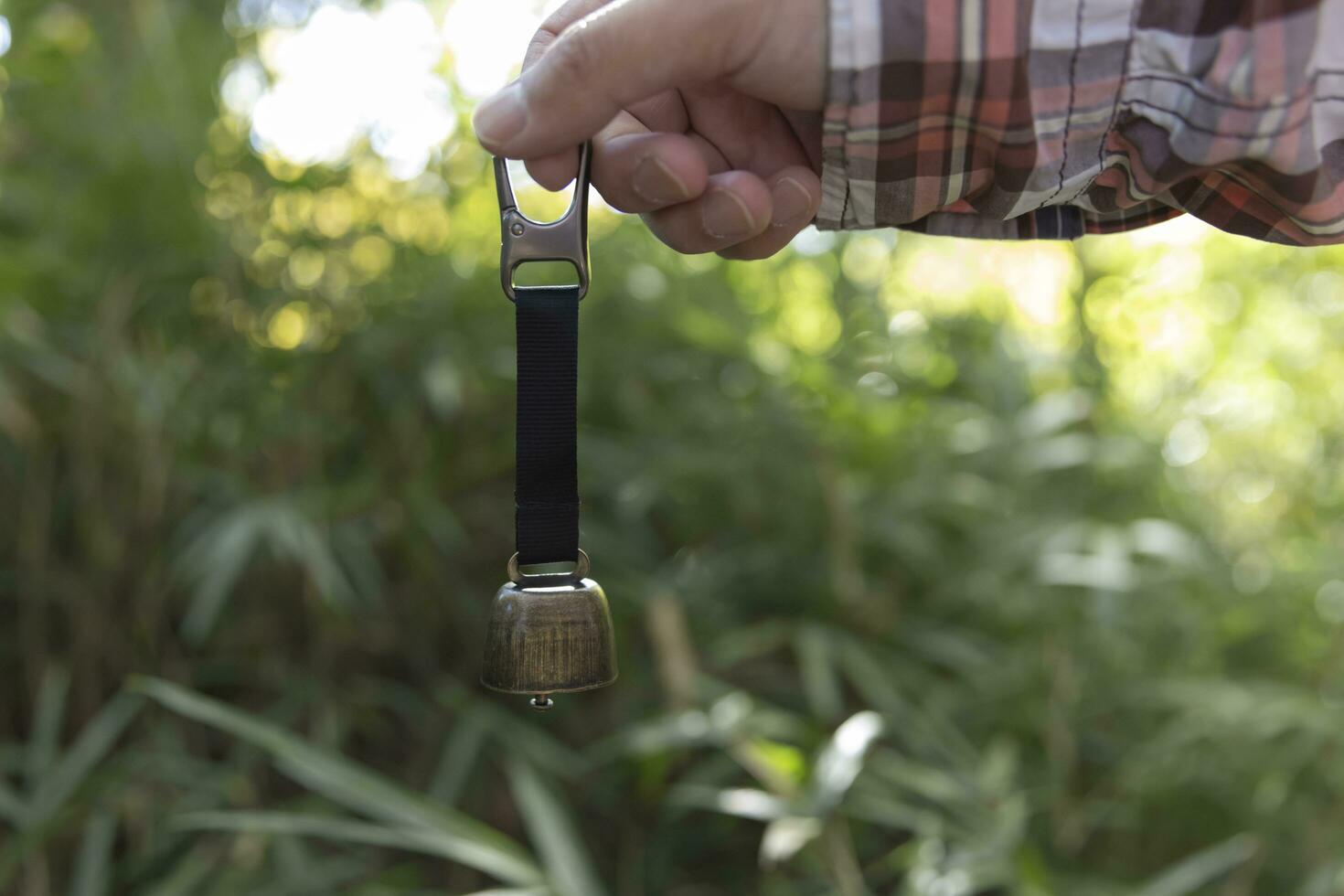 een beer klok met hand- Bij de groen Woud in herfst foto