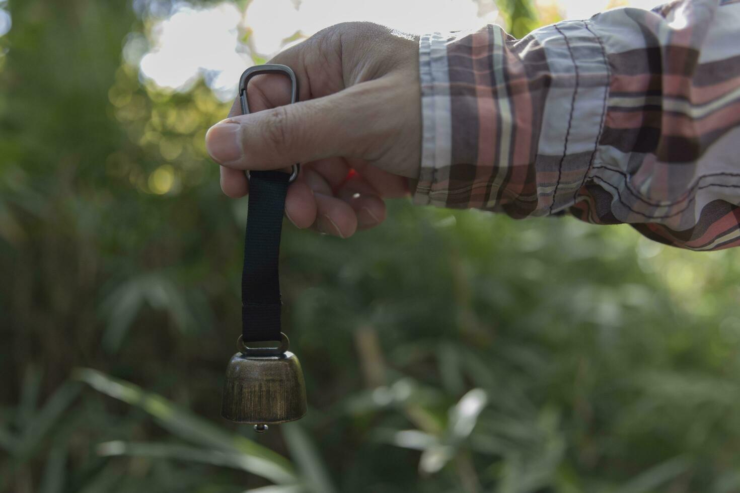 een beer klok met hand- Bij de groen Woud in herfst foto