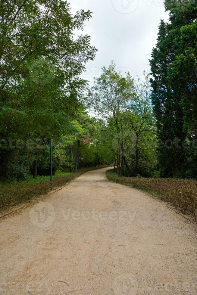 jogging spoor in de Woud. ataturk stad Woud in Istanbul foto