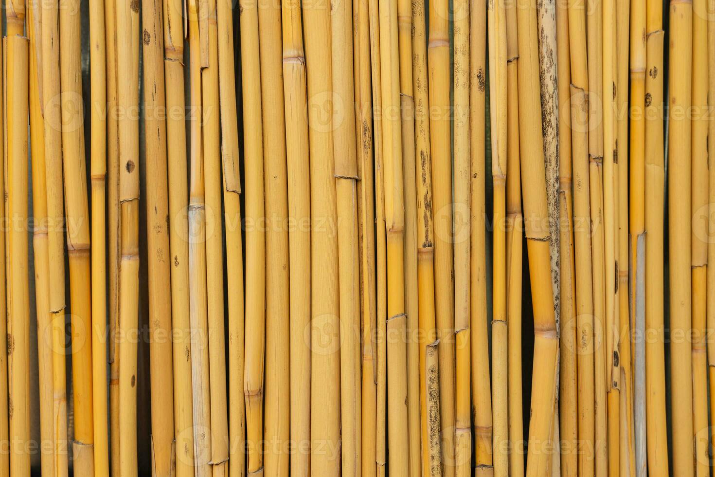 bamboe patroon. verticaal bamboe hek achtergrond foto
