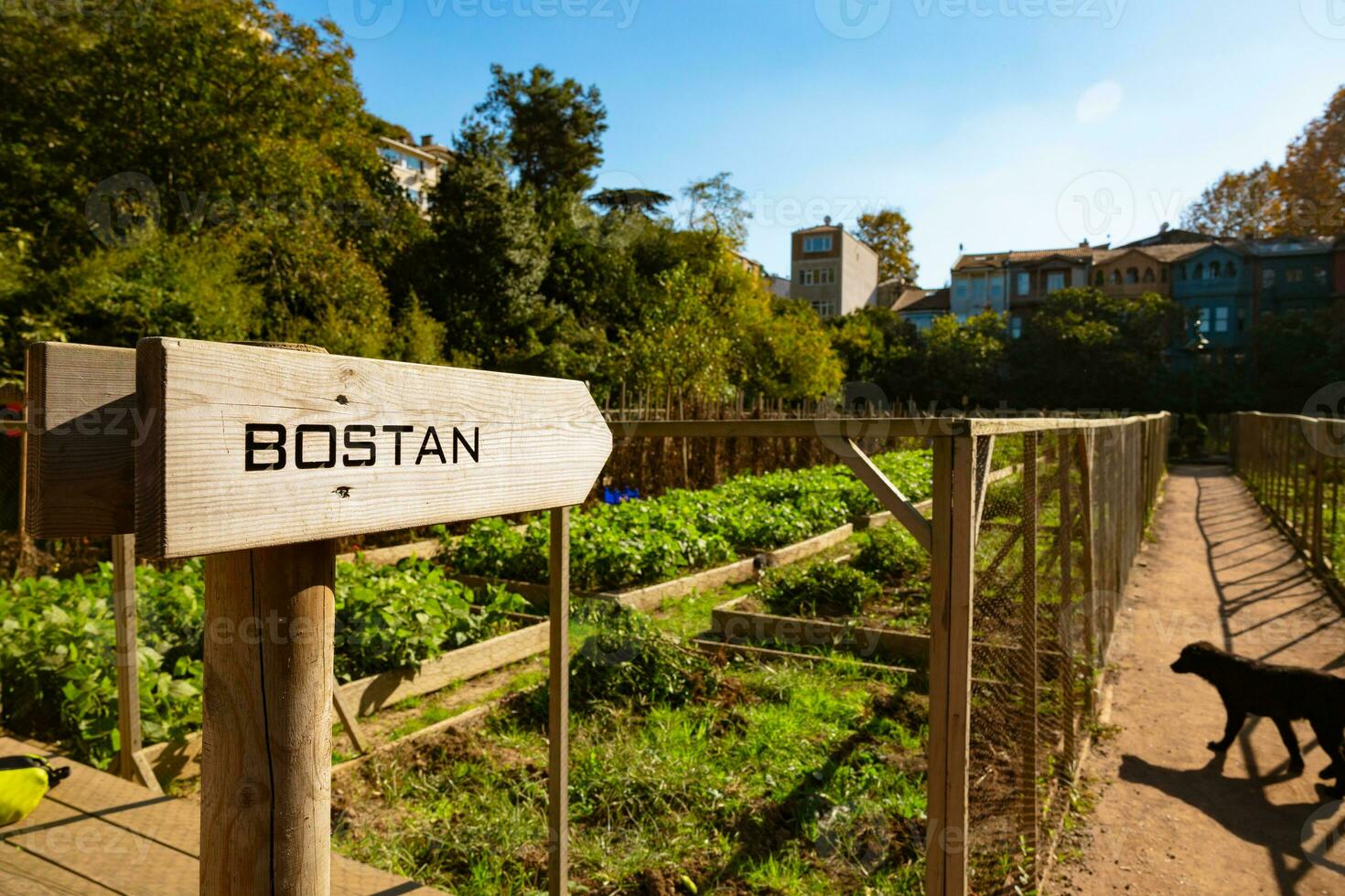 kuzguncuk bostani of kuzguncuk markt tuin in Istanbul foto