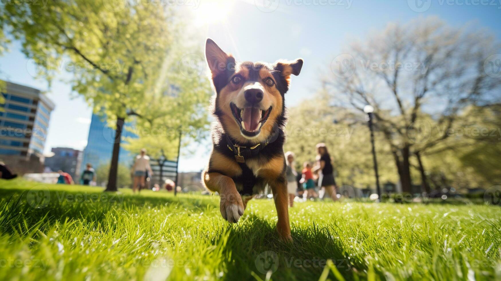 ai gegenereerd foto van een gelukkig hond spelen halen in een levendig stedelijk. generatief ai