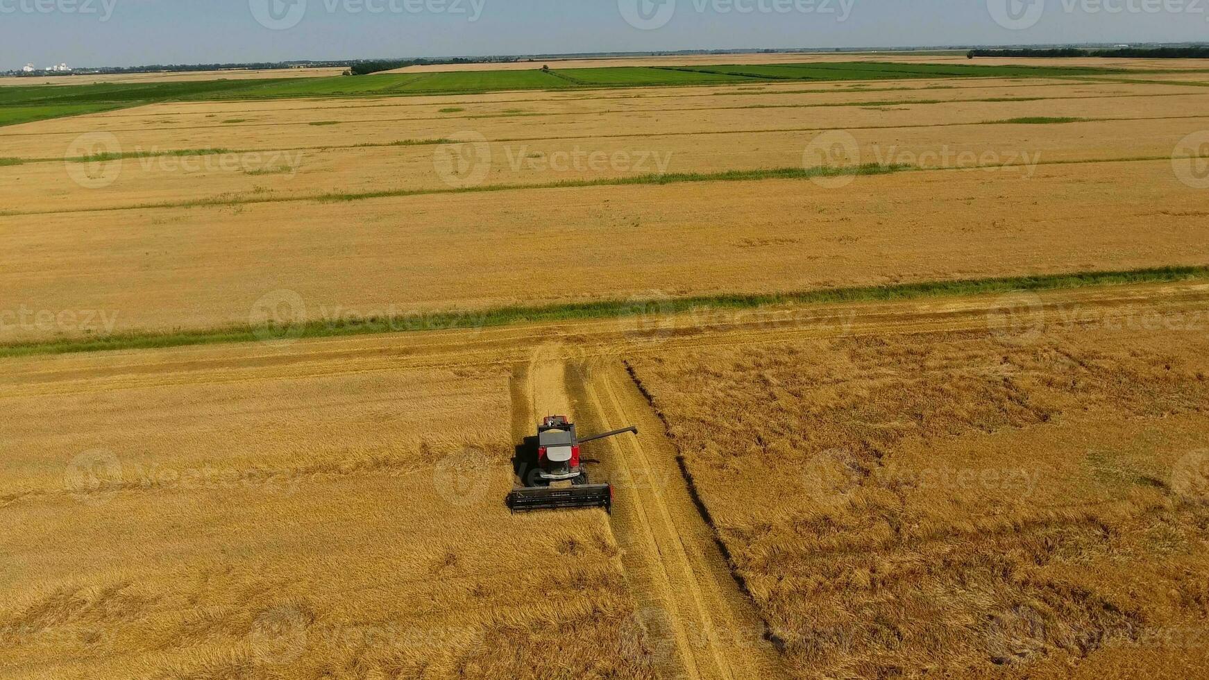 oogsten gerst oogsters. velden van tarwe en gerst, de werk van agrarisch machines. combineren oogstmachines en tractoren foto