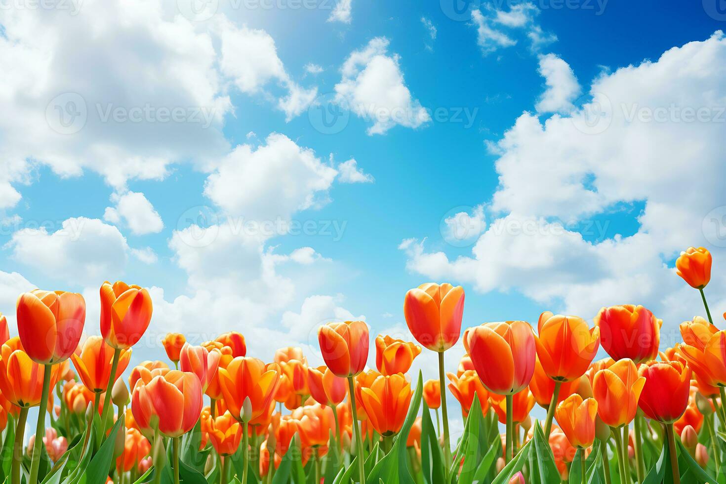 ai gegenereerd oranje tulpen en wolk-gevlekt blauw luchten foto