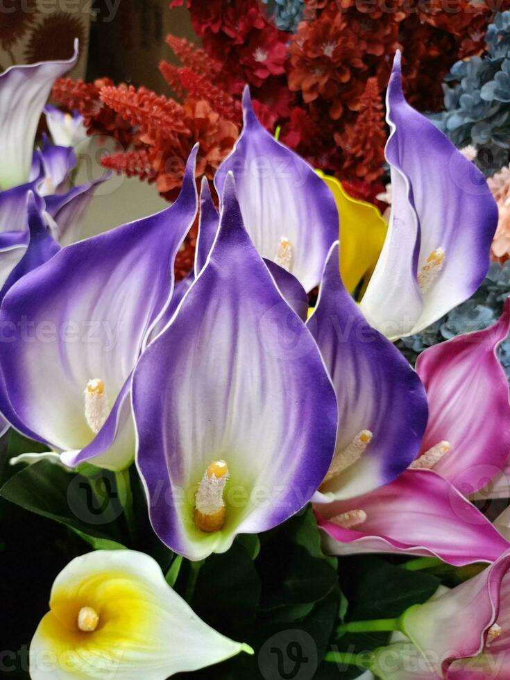 kleurrijk bloemen bloeiend in winkel tuin foto