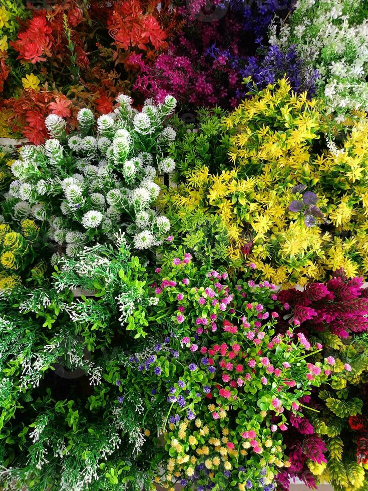 kleurrijk bloemen bloeiend in winkel tuin foto