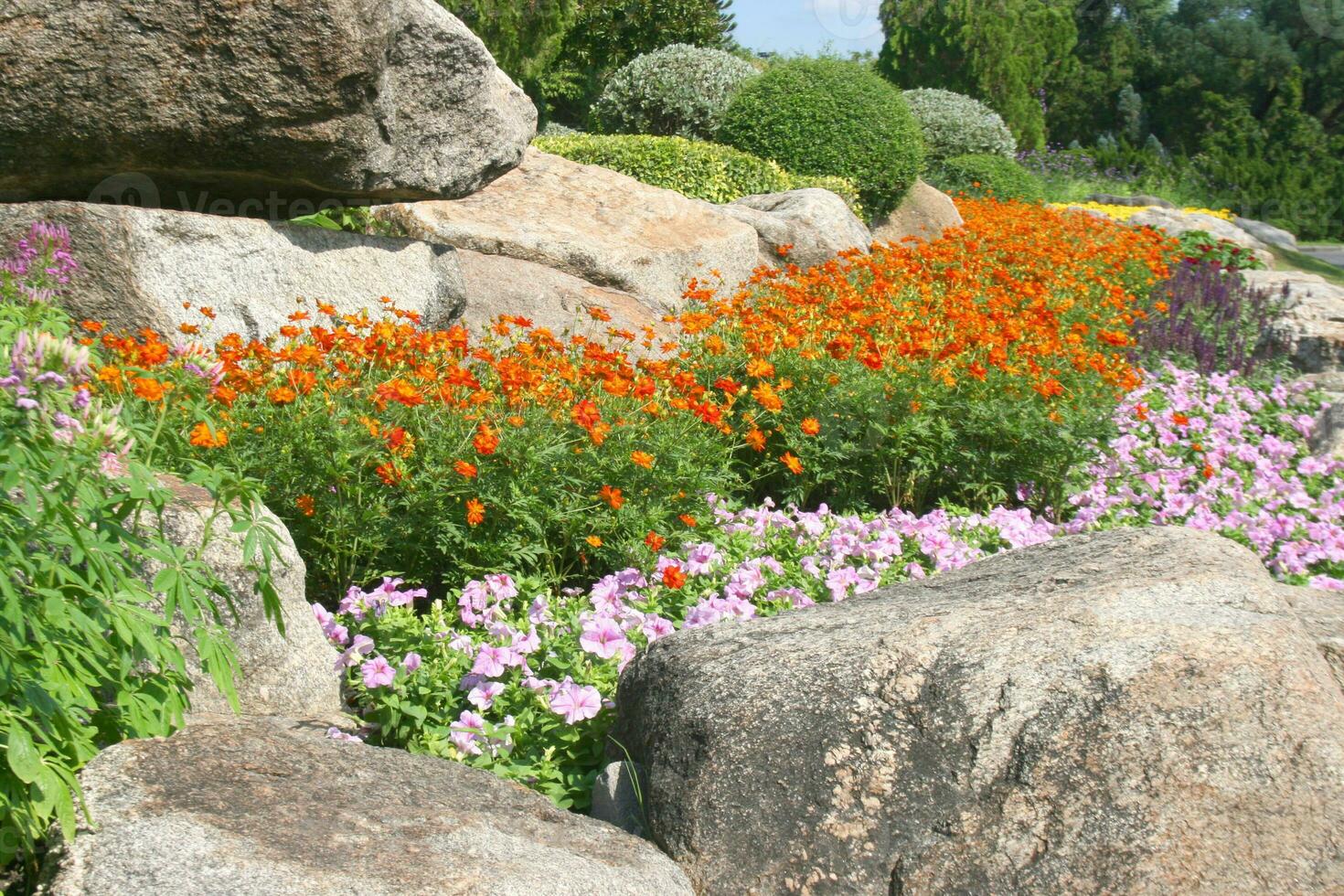 oranje bloem bloeiend en steen decoratie tuin foto