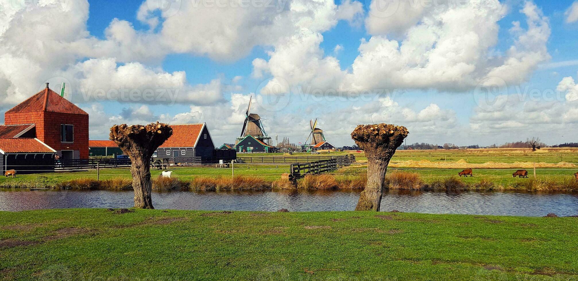 huizen Aan de rivier. reizen in Nederland foto