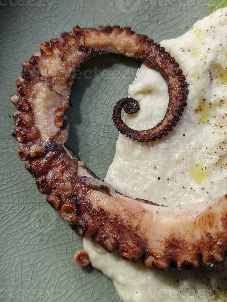 groente saus gekoppeld met gegrild Octopus tentakels foto