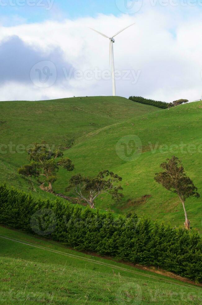 landelijk Australië binnenland foto