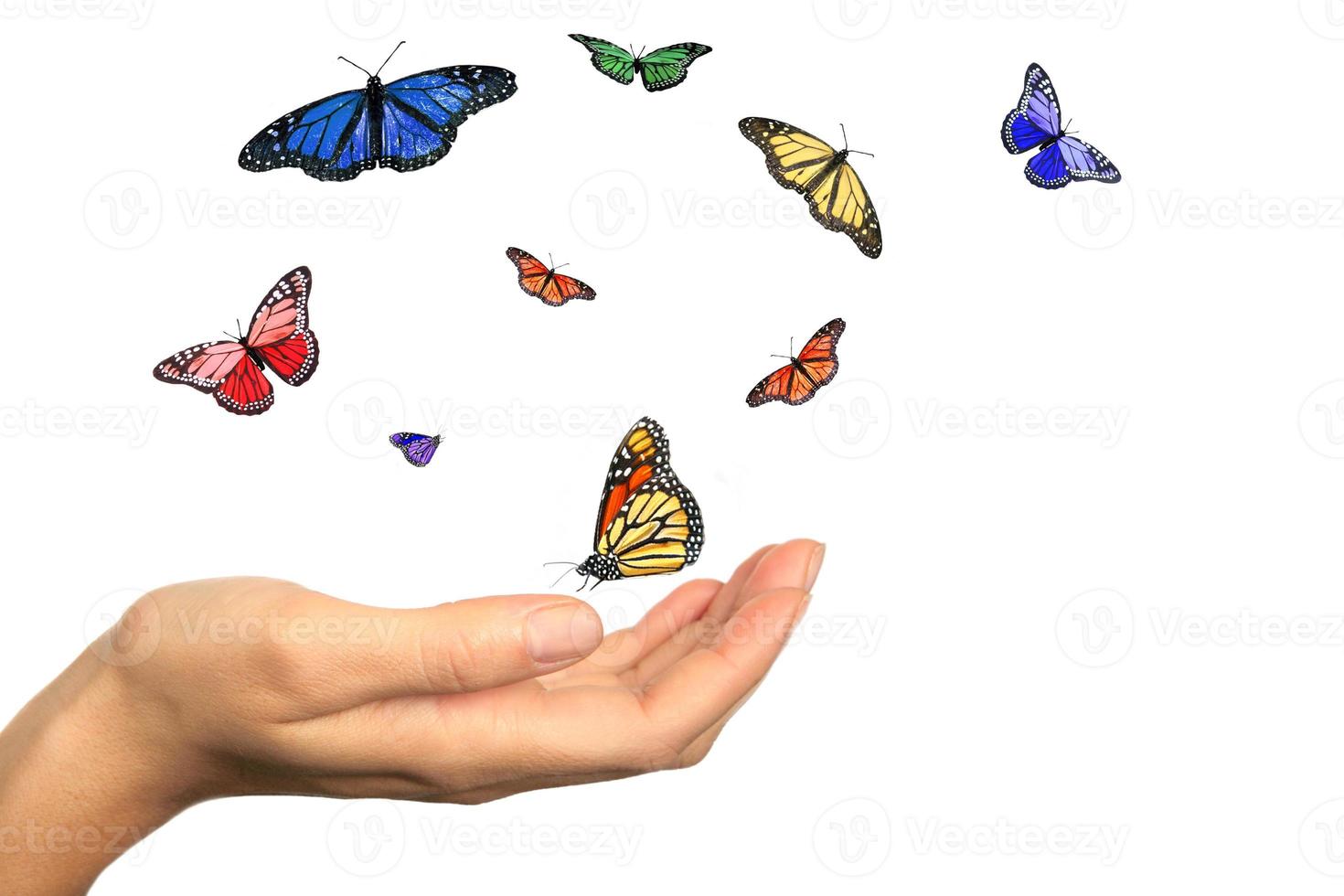 dameshand die prachtige vlinders vrijgeeft foto