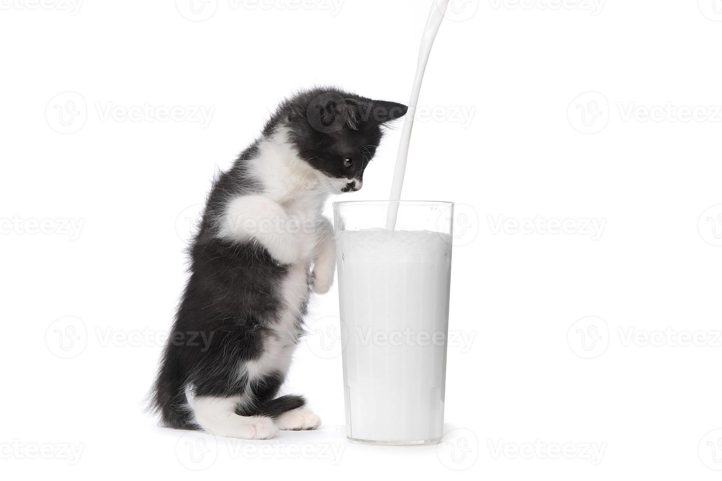 schattig katje kijken naar melk gieten in een glas foto