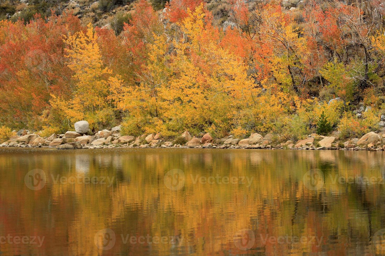 herfstkleuren in de Sierra Mountains, Californië foto