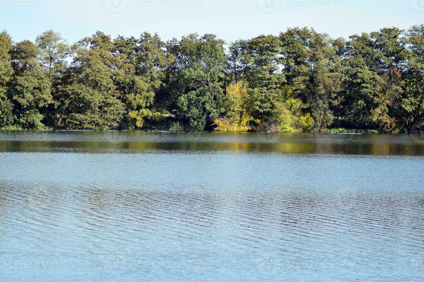 meer in het park foto