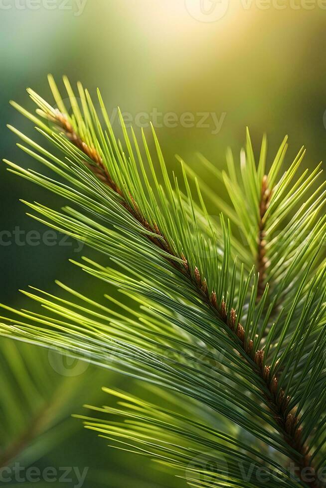 ai gegenereerd hoogtepunt de details van pijnboom naalden, presentatie van hun arrangement en de structuur van de boom tak, achtergrond afbeelding, generatief ai foto