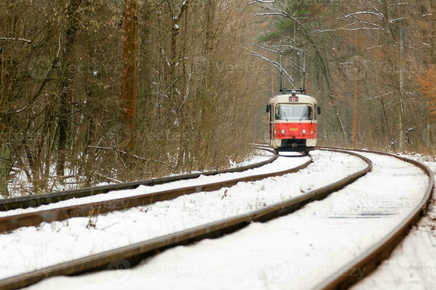 haasten tram door de winter Woud foto