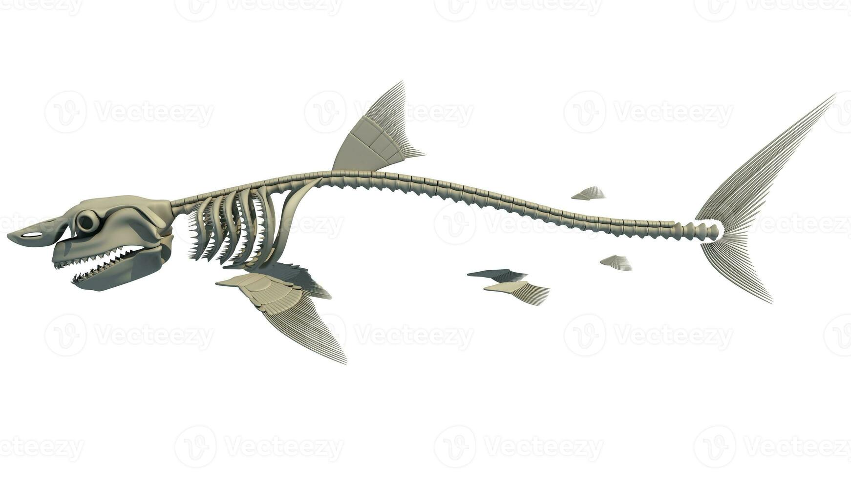 Super goed wit haai skelet 3d renderen foto