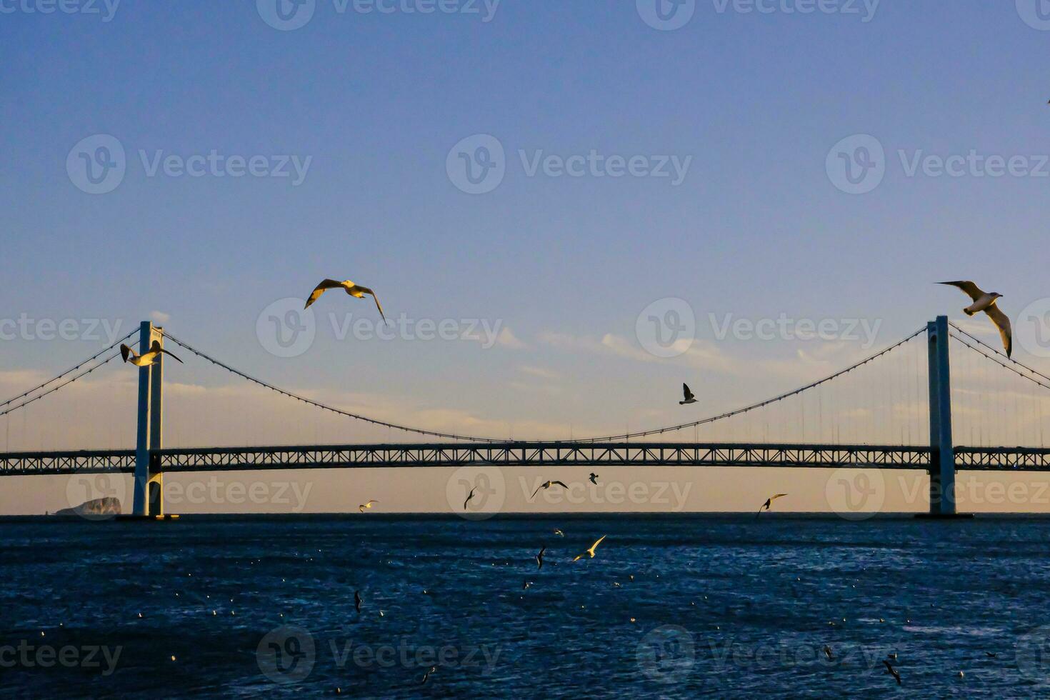 bruggen en architecten in san francisco, Verenigde Staten van Amerika foto