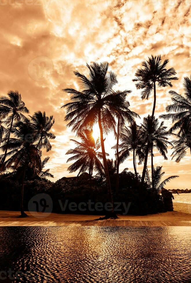 tropisch strand Aan zonsondergang foto