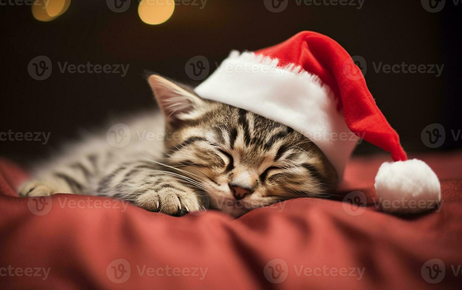 schattig weinig katje in de kerstman hoed slapen Aan de bed. Kerstmis banier foto