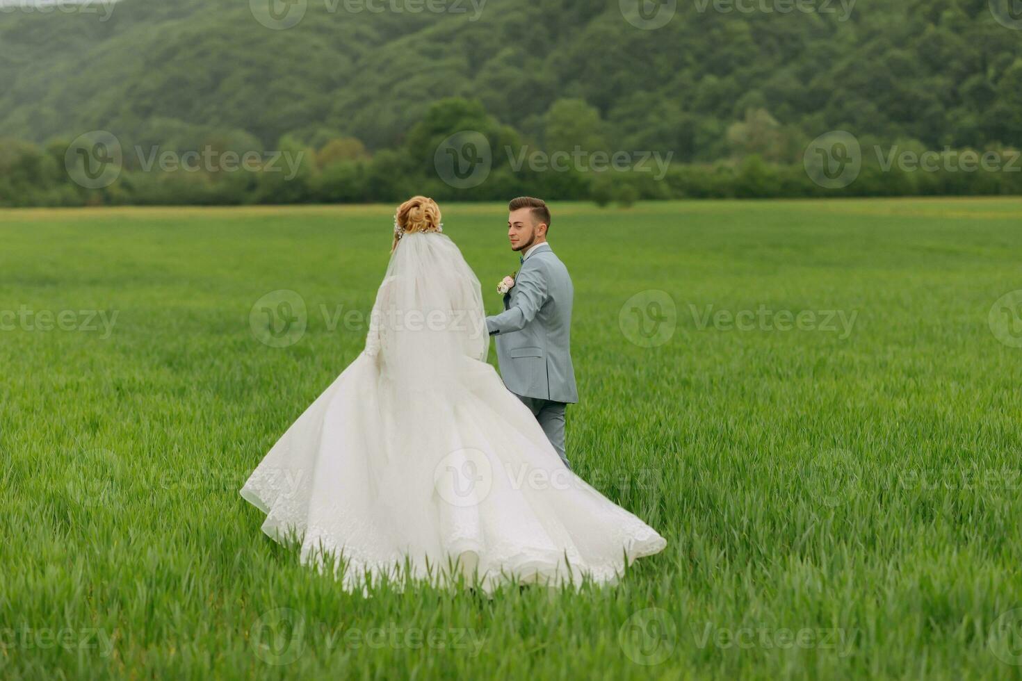 wijde hoek portret van de bruid en bruidegom wandelen Aan een groen weide tegen de achtergrond van bergen. achterzijde visie. prachtig jurk. elegant bruidegom. bruiloft foto