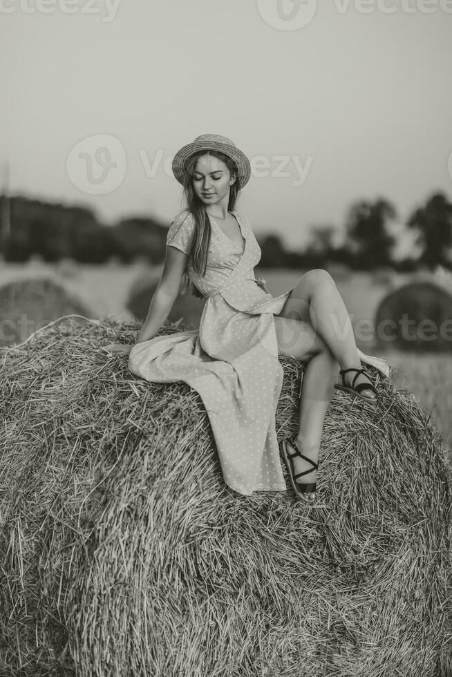 portret van een jong meisje. een meisje in een blauw jurk zit Aan top van hooi balen - hoog kwaliteit foto. lang Rechtdoor haar. mooi hoor kleur. zomer. portret foto