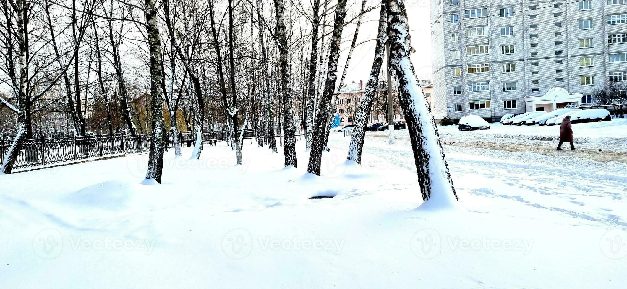 landschap schot van de straat Aan de winter dag. seizoen foto