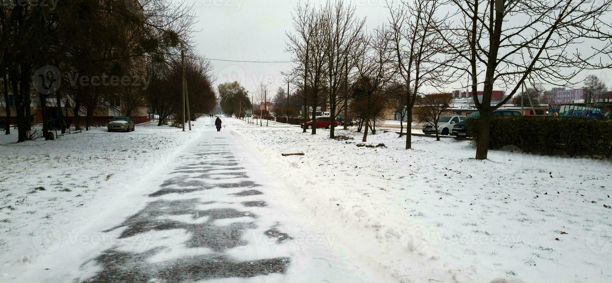 landschap schot van de straat Aan de winter dag, seizoen foto