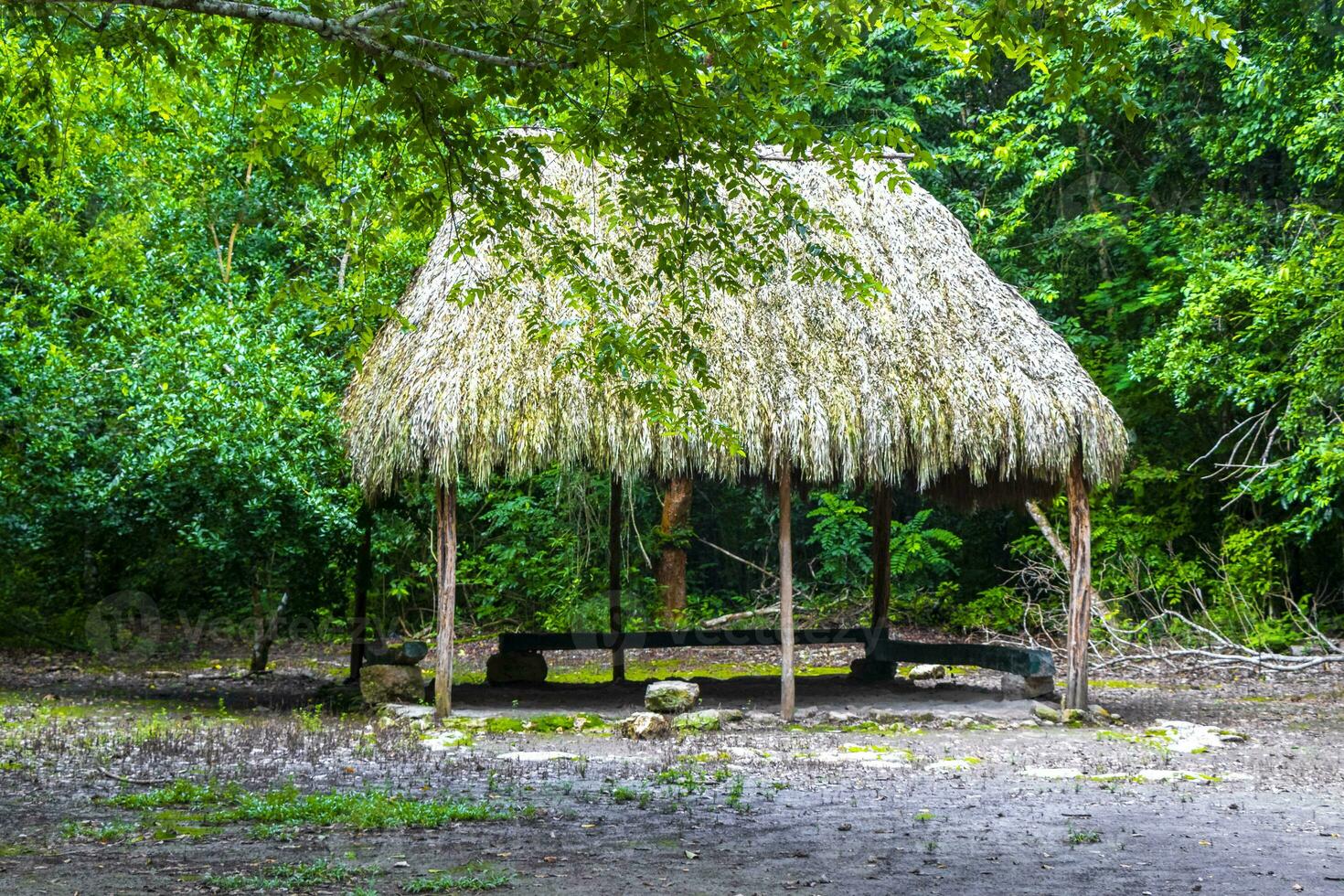 palapa hut huis cabine in tropisch oerwoud coba ruïnes Mexico. foto