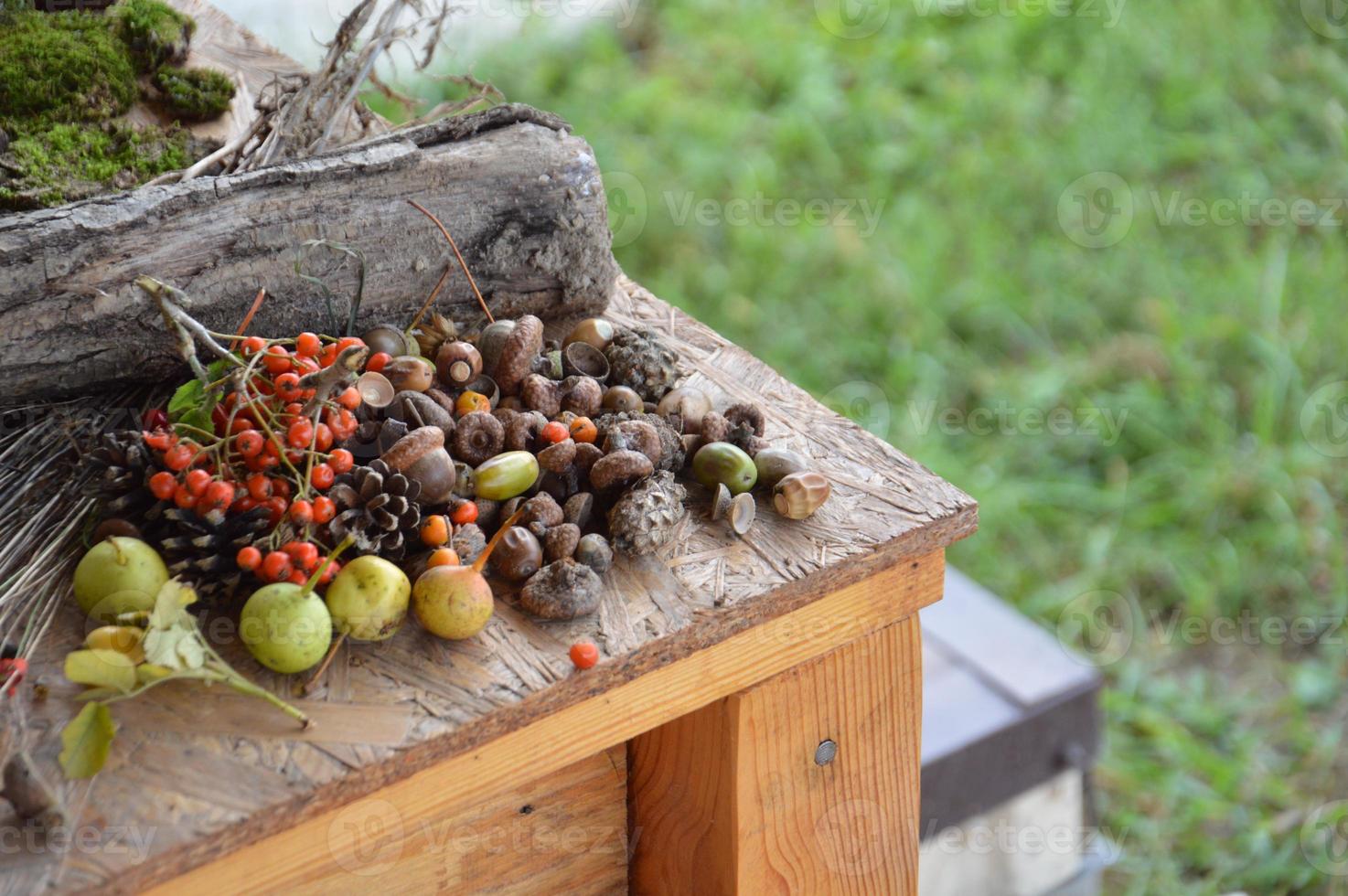 stilleven van bosvruchten en planten foto