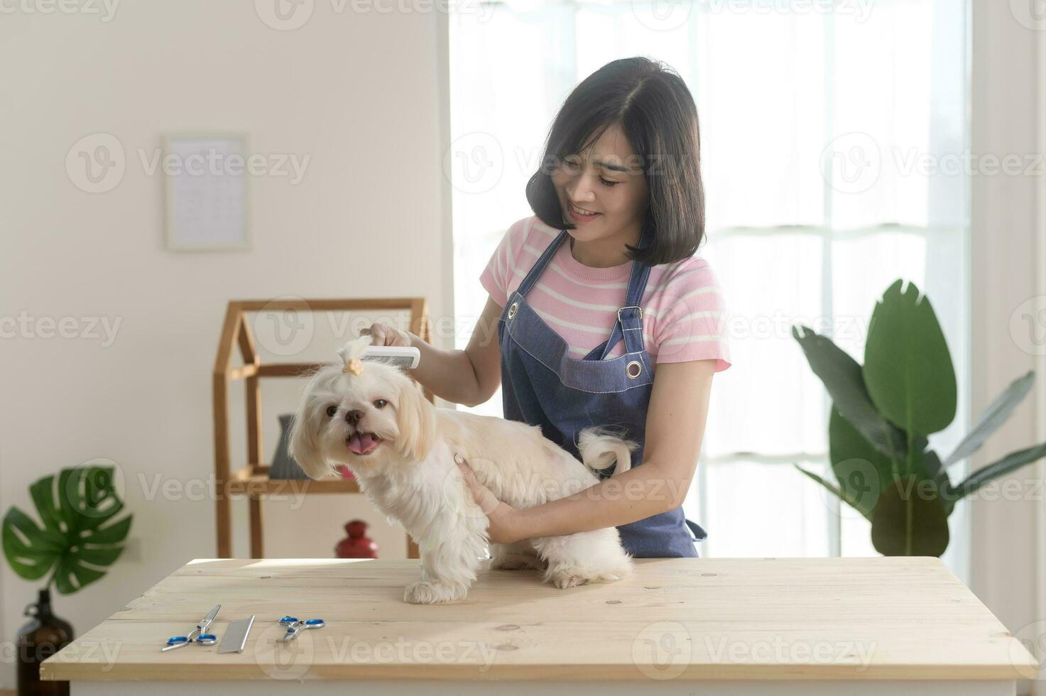 vrouw professioneel groomer trimmen kapsel en kammen hond vacht Bij huisdier spa uiterlijke verzorging salon foto