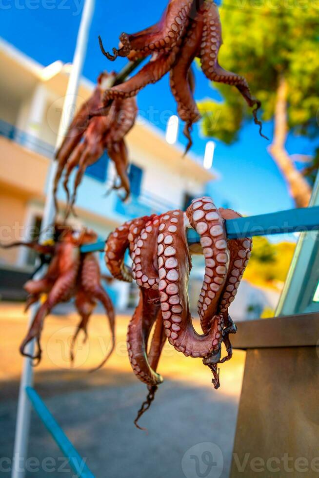 Grieks Octopus drogen foto