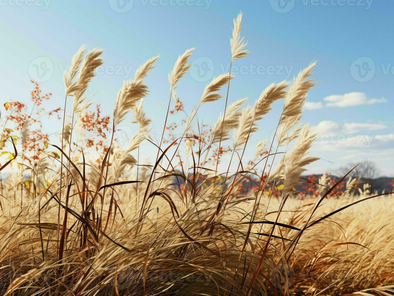 ai gegenereerd prairies grassen met blauw lucht visie. gras Aan wild veld. generatief ai foto