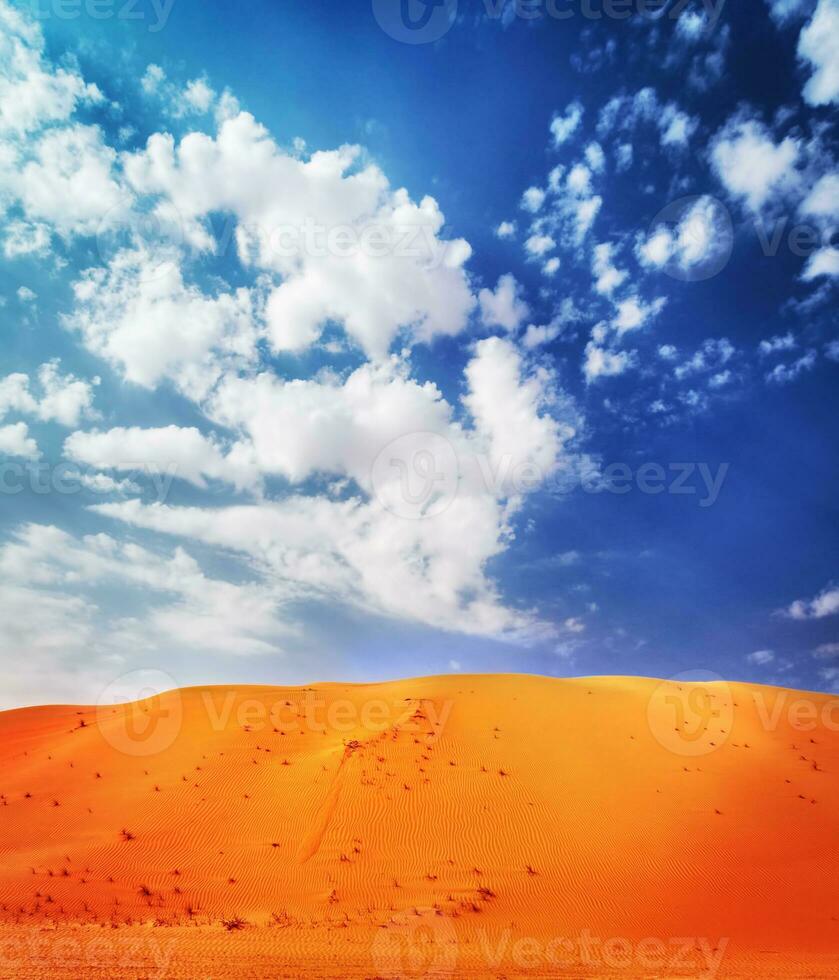 mooi woestijn landschap foto