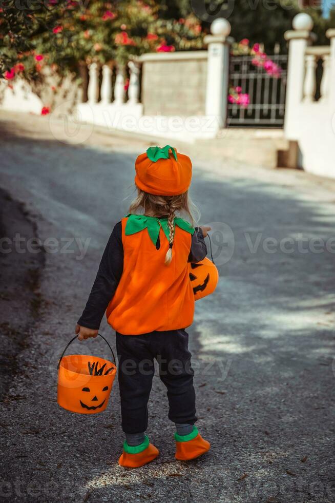 schattig weinig halloween pompoen foto