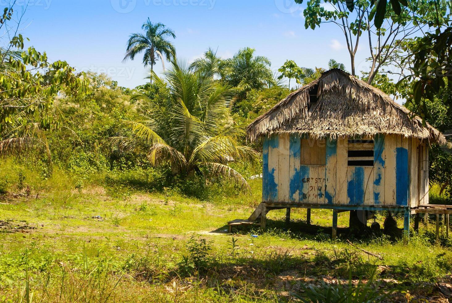 Peru, Peruaanse amazonas landschap. de foto Cadeau typisch Indisch stammen regeling in amazon