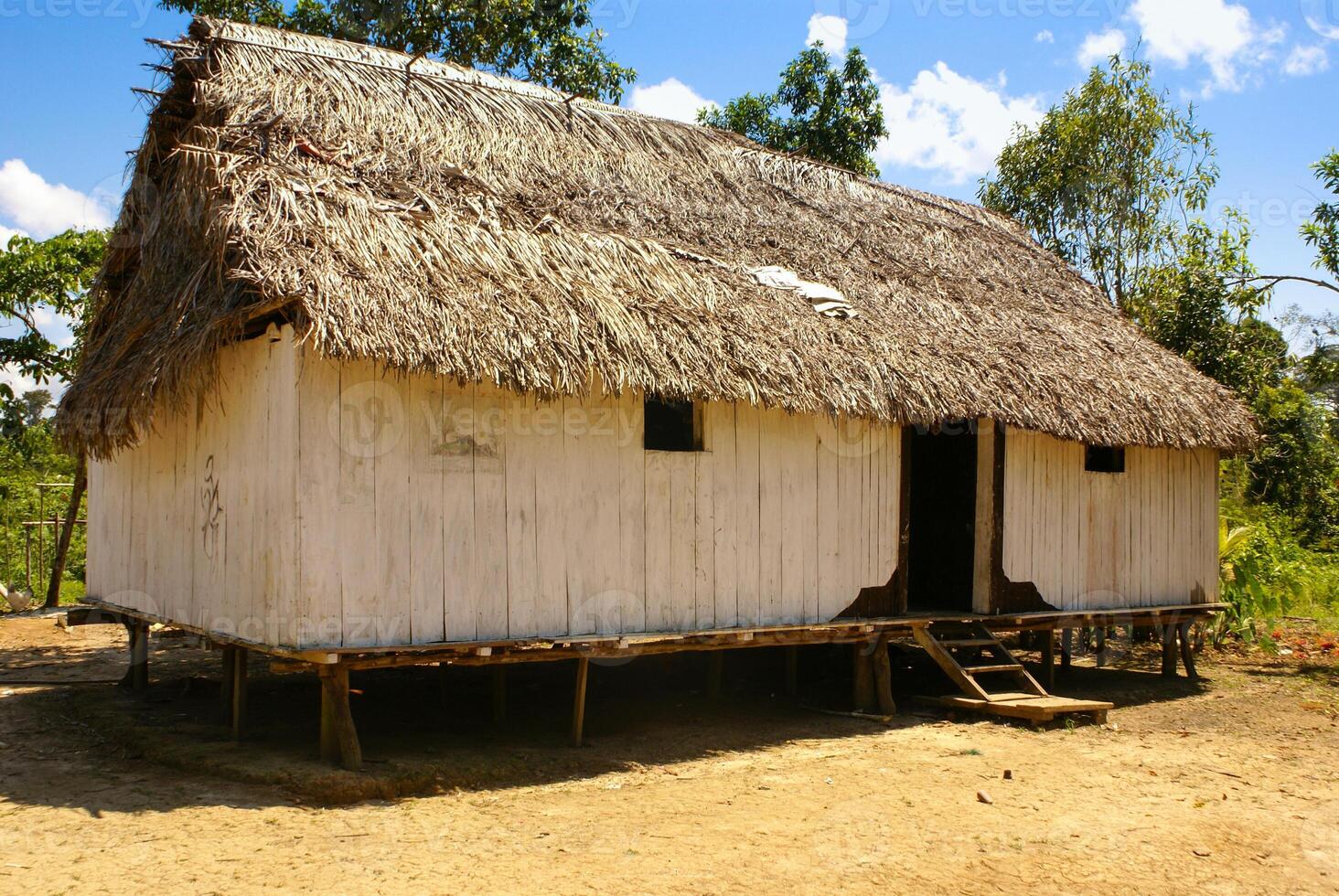 Peru, Peruaanse amazonas landschap. de foto Cadeau typisch Indisch stammen regeling in amazon