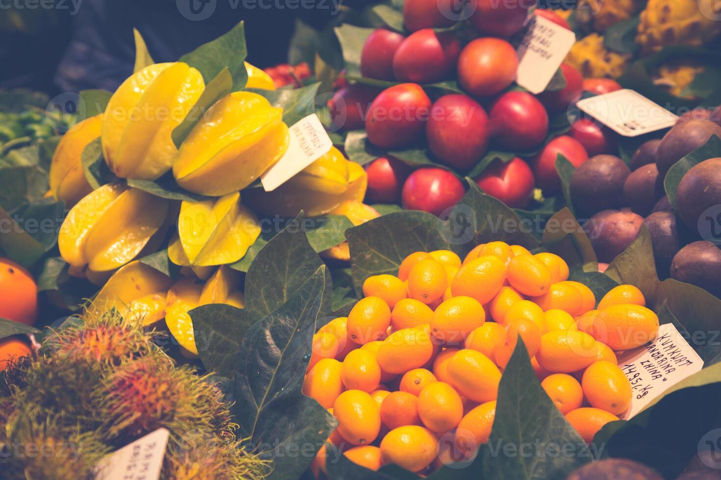 Barcelona, la boqueria een gedekt markt voor vis, vlees, groenten, fruit en voedingsmiddelen van allemaal soorten foto