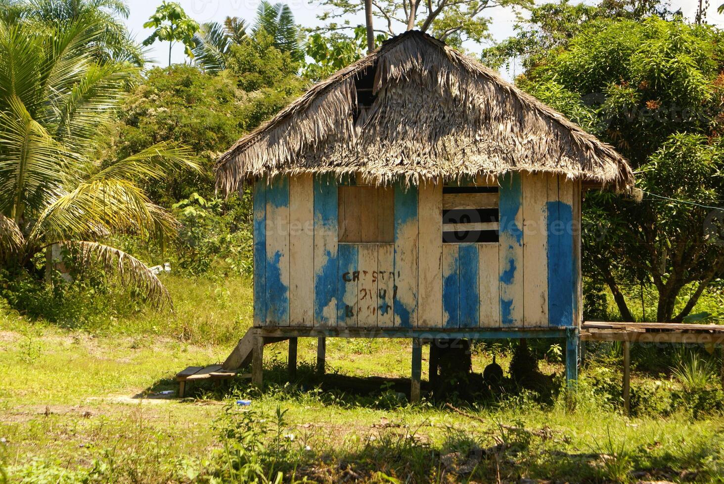 Peru, Peruaanse amazonas landschap. de foto Cadeau typisch Indisch stammen regeling in amazon