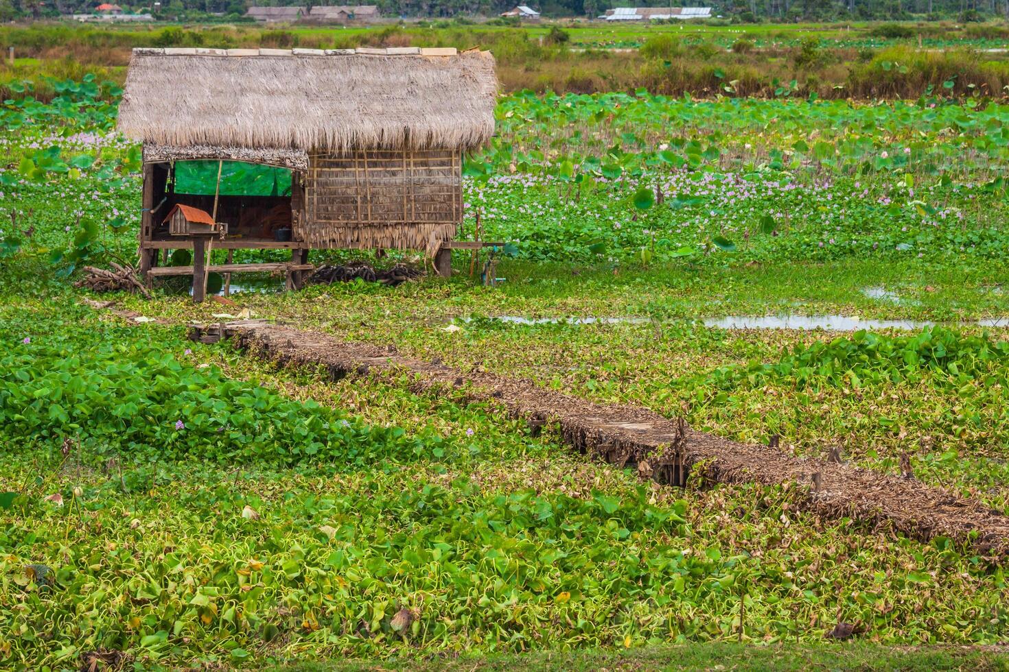 de dorp Aan de water. ton sap meer. Cambodja foto