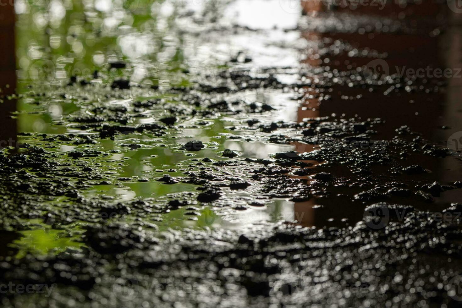 een plas van regenwater in selectief focus foto