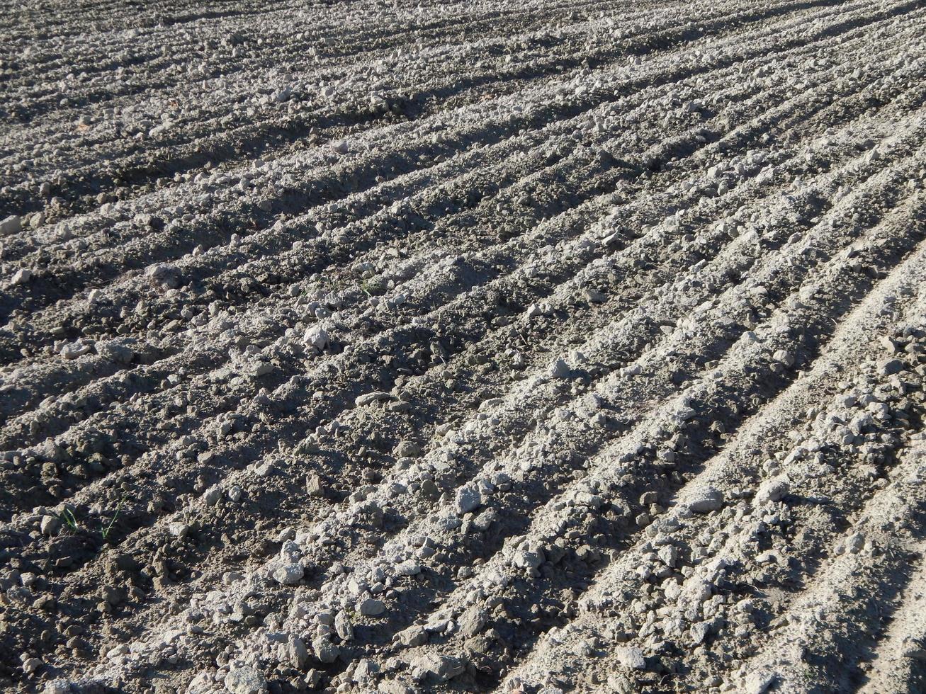 tractor geploegd veld en bouwland foto