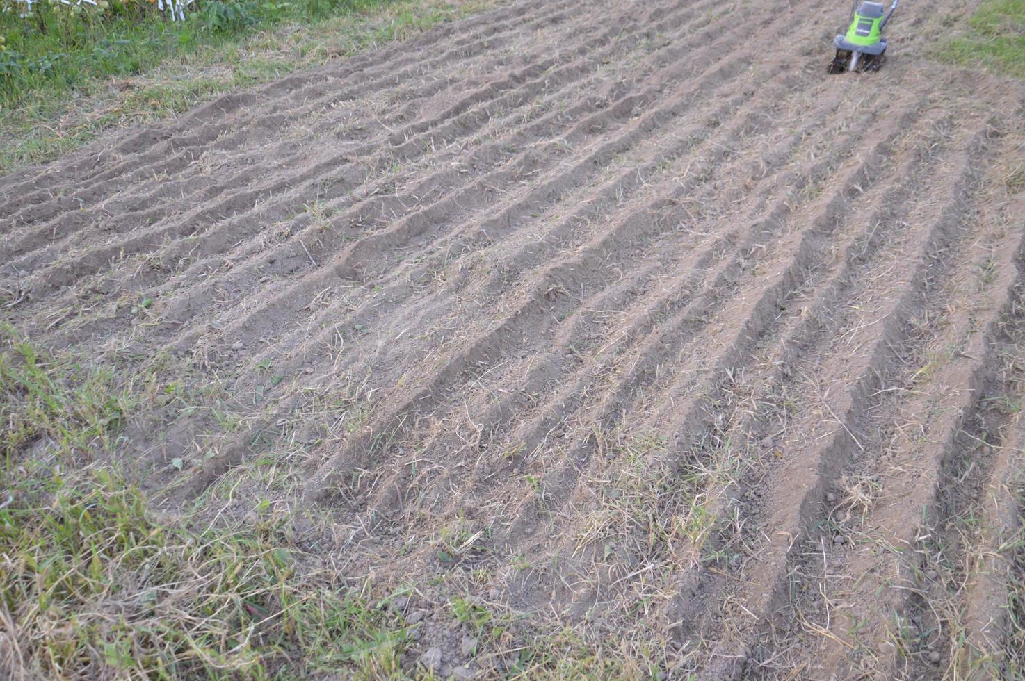 bouwland voor het planten van sideraten in de tuin foto